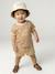 Boys' organic cotton T-shirt pecan nut - vertbaudet enfant 