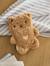 Cuddly Toy Hot Water Bottle ecru+navy blue+pecan nut - vertbaudet enfant 