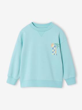 Boys-Cardigans, Jumpers & Sweatshirts-Sweatshirts & Hoodies-Round-neck long-sleeved sweatshirt for boys