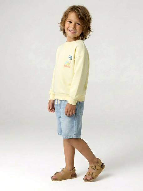 Round-neck long-sleeved sweatshirt for boys aqua green+mango+pale yellow - vertbaudet enfant 