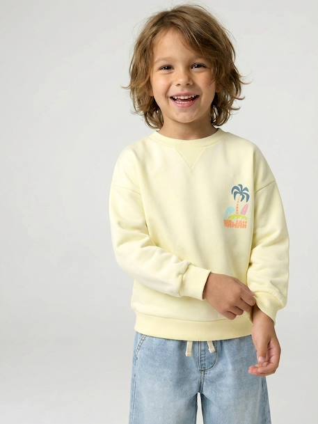 Round-neck long-sleeved sweatshirt for boys aqua green+mango+pale yellow - vertbaudet enfant 