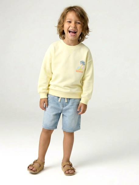 Round-neck long-sleeved sweatshirt for boys aqua green+mango+pale yellow - vertbaudet enfant 