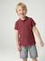 Short Sleeve Polo Shirt, Embroidery on the Chest, for Boys blue+BLUE MEDIUM SOLID WITH DESIGN+Green+pale yellow+terracotta+WHITE LIGHT SOLID WITH DESIGN - vertbaudet enfant 
