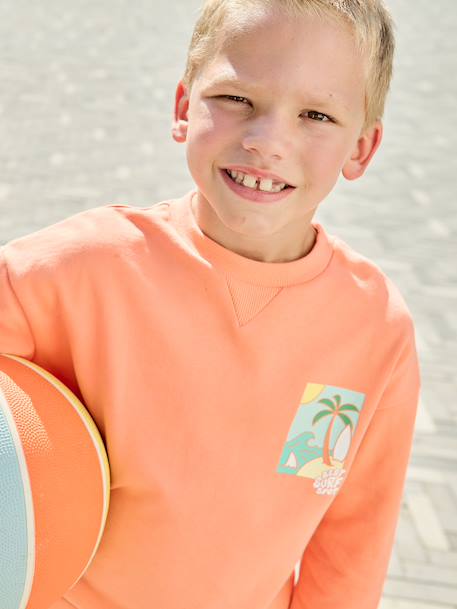 Round-neck long-sleeved sweatshirt for boys aqua green+mango+pale yellow - vertbaudet enfant 
