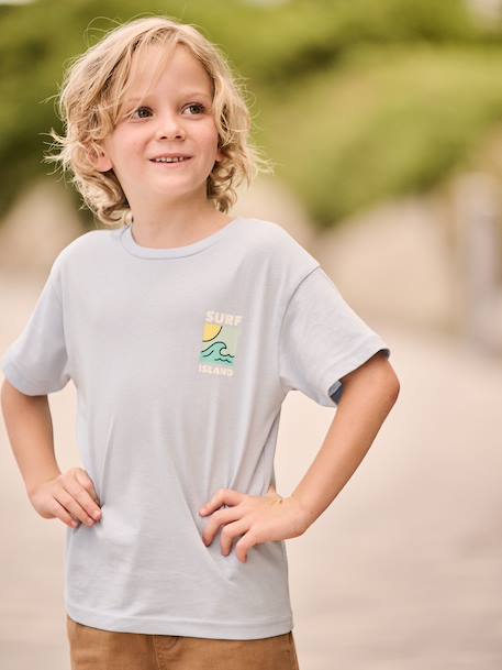 T-shirt garçon motifs devant et dos anthracite+blanc+bleu ciel+bleu océan+bois de rose - vertbaudet enfant 