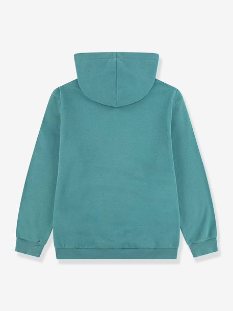 Hooded sweatshirt for boy green - vertbaudet enfant 