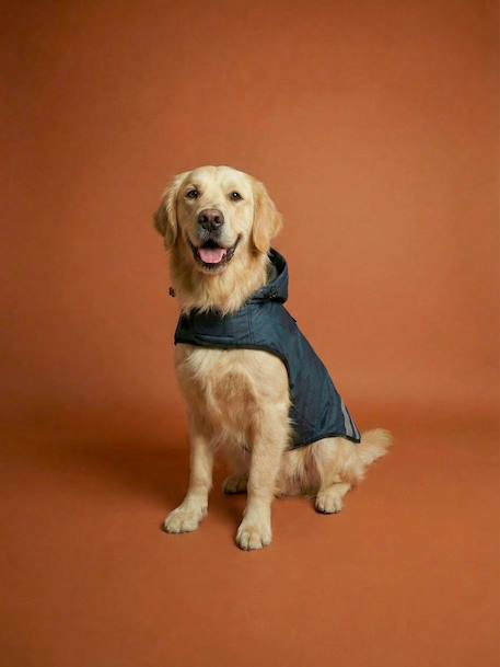 Waterproof dog coat slate blue - vertbaudet enfant 