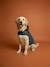 Waterproof dog coat slate blue - vertbaudet enfant 