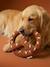 Fabric dog toy pretzel hazel - vertbaudet enfant 