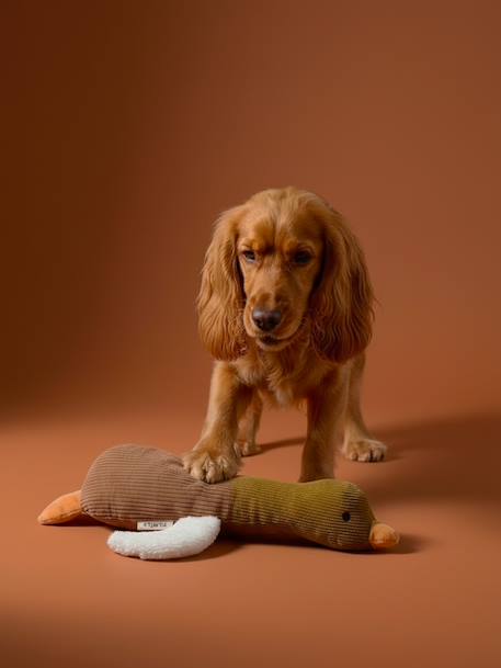 Multi-textured duck dog toy hazel - vertbaudet enfant 