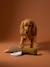 Multi-textured duck dog toy hazel - vertbaudet enfant 