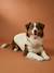 Manteau polaire chien beige+kaki - vertbaudet enfant 
