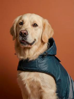 Bedding & Decor-Waterproof dog coat 