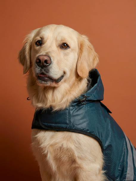 Waterproof dog coat slate blue - vertbaudet enfant 
