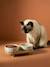 Pack of 2 ceramic bowls with stand printed white - vertbaudet enfant 