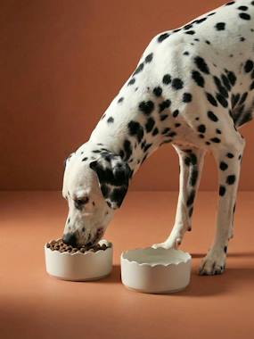 Bedding & Decor-Decoration-Pet Accessories-Pack of 2 scalloped ceramic bowls
