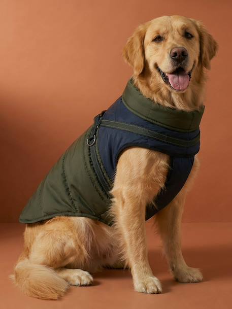 Lightweight jacket with dog zip and harness caramel - vertbaudet enfant 
