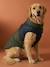 Lightweight jacket with dog zip and harness caramel - vertbaudet enfant 