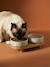 Pack of 2 ceramic bowls with stand printed white - vertbaudet enfant 
