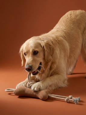 -Lot jouets chien