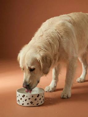 Bedding & Decor-Decoration-Pet Accessories-Ceramic Dog Bowl, FAMILY