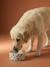 Ceramic Dog Bowl, FAMILY camel+printed white+striped pink - vertbaudet enfant 