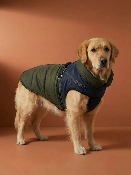 Lightweight jacket with dog zip and harness caramel - vertbaudet enfant 