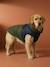 Manteau doudoune chien zip harnais caramel - vertbaudet enfant 