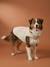 Fleece dog coat beige+khaki - vertbaudet enfant 