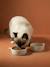 Set of 2 Ceramic Cat Bowls, FAMILY ecru+printed white - vertbaudet enfant 