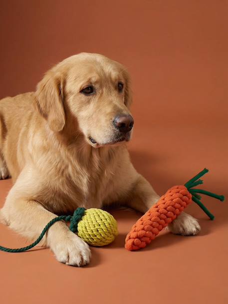 Lot 2 jouets corde chien fruits jaune - vertbaudet enfant 
