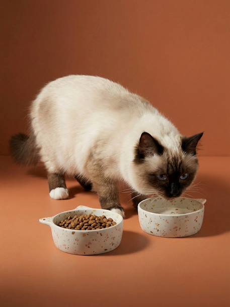 Set of 2 Ceramic Cat Bowls, FAMILY ecru+printed white - vertbaudet enfant 