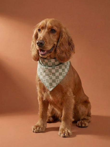 Bandana chien coton blanc imprimé+carreaux beige+marron imprimé - vertbaudet enfant 