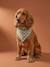 Bandana chien coton blanc imprimé+carreaux beige+marron imprimé - vertbaudet enfant 