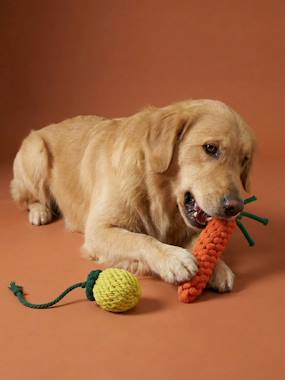 Linge de lit & Déco-Lot 2 jouets corde chien fruits