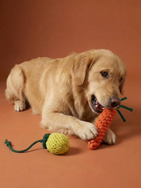 Lot 2 jouets corde chien fruits jaune - vertbaudet enfant 