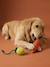 Lot 2 jouets corde chien fruits jaune - vertbaudet enfant 