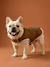 Dog rain coat caramel - vertbaudet enfant 
