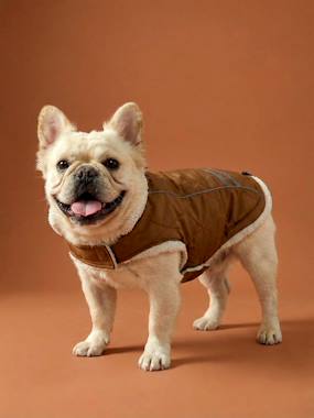 -Manteau imperméable chien
