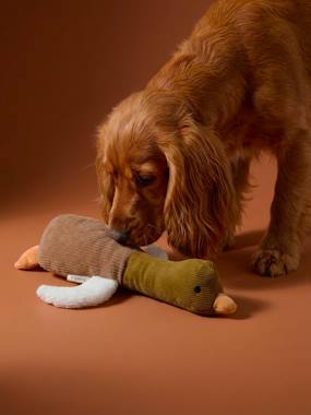 Bedding & Decor-Multi-textured duck dog toy