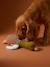 Multi-textured duck dog toy hazel - vertbaudet enfant 