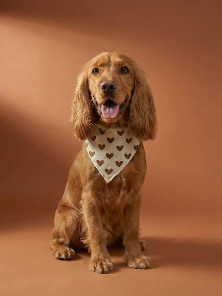 Cotton dog bandana chequered beige+printed brown+printed white - vertbaudet enfant 