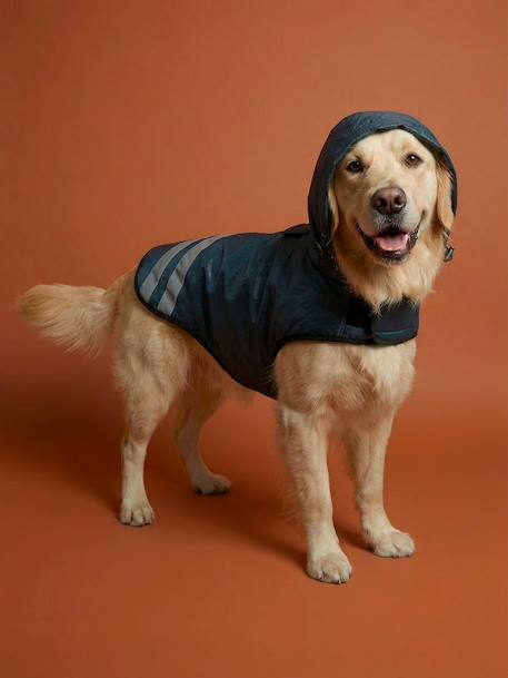 Waterproof dog coat slate blue - vertbaudet enfant 