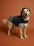 Waterproof dog coat slate blue - vertbaudet enfant 