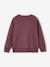 Crew neck sweatshirt for boys marl white+mauve - vertbaudet enfant 