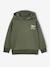 Sweat garçon à capuche motif poitrine orange+vert sauge - vertbaudet enfant 