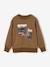 Sweat garçon col rond noisette - vertbaudet enfant 