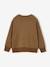 Crewneck sweatshirt for boys hazel - vertbaudet enfant 