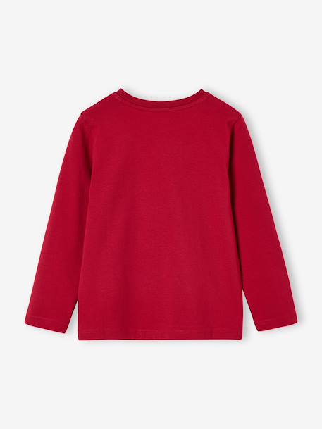 Long-sleeved T-shirt for boys anthracite+cappuccino+red+sage green+white - vertbaudet enfant 