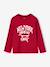 Long-sleeved T-shirt for boys anthracite+cappuccino+red+sage green+white - vertbaudet enfant 